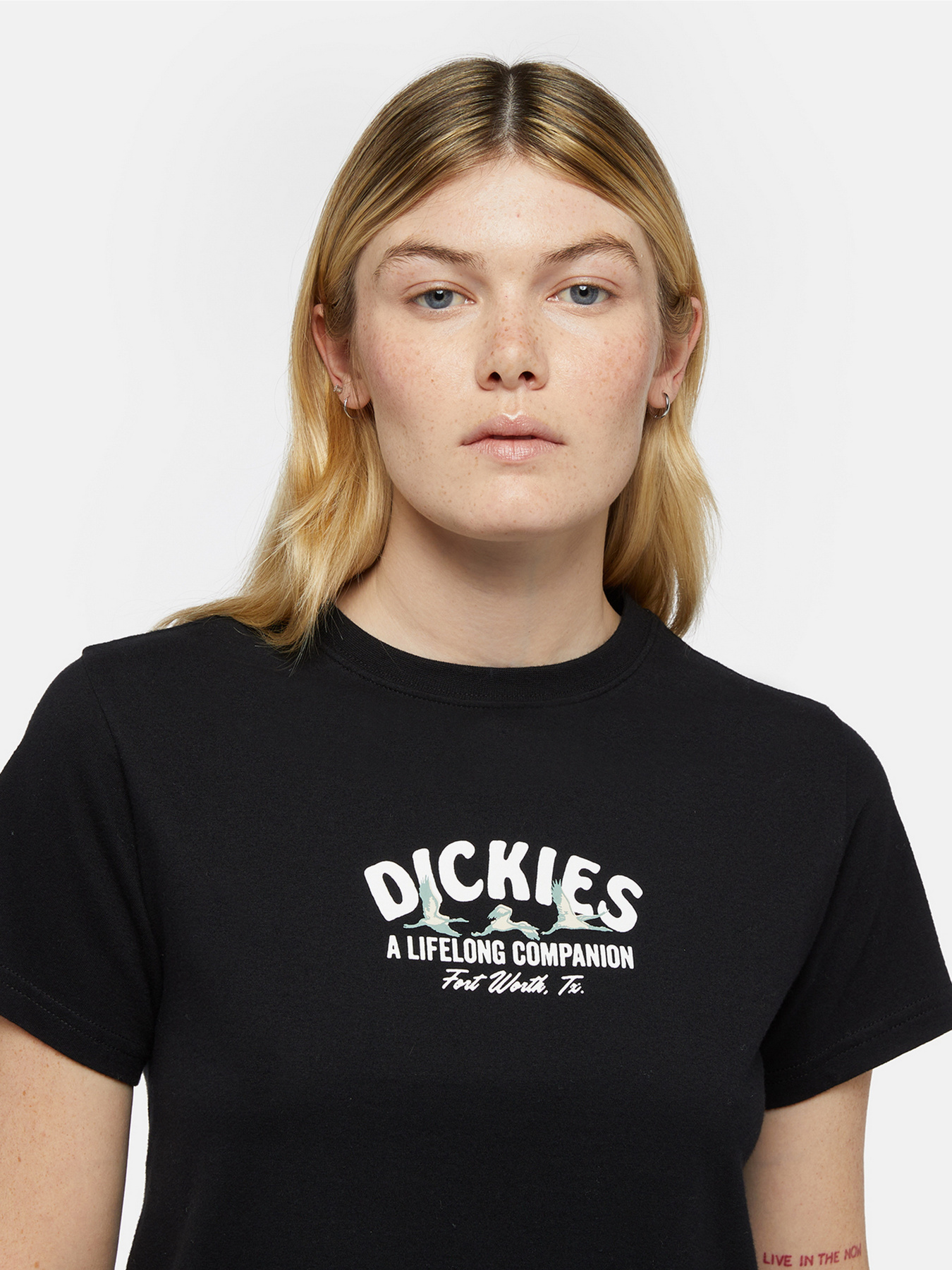 Футболка Dickies Companion модель DK0A863KBLK1 Футболка Dickies Companion модель DK0A863KBLK1 Фото