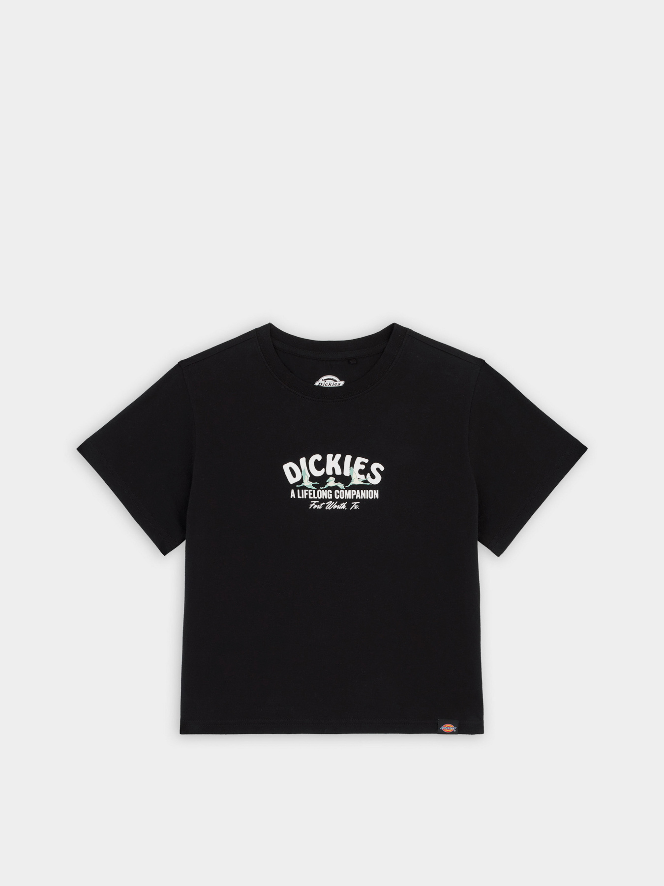 Футболка Dickies Companion модель DK0A863KBLK1 Футболка Dickies Companion модель DK0A863KBLK1 Фото
