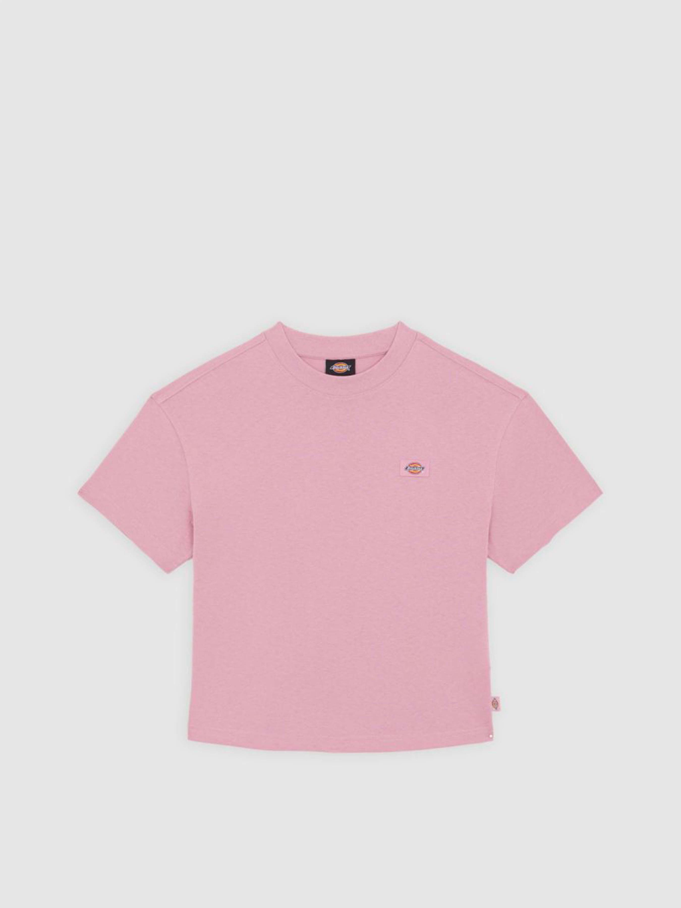 Футболка Dickies Oakport Boxy модель DK0A4Y8LK391 Фото