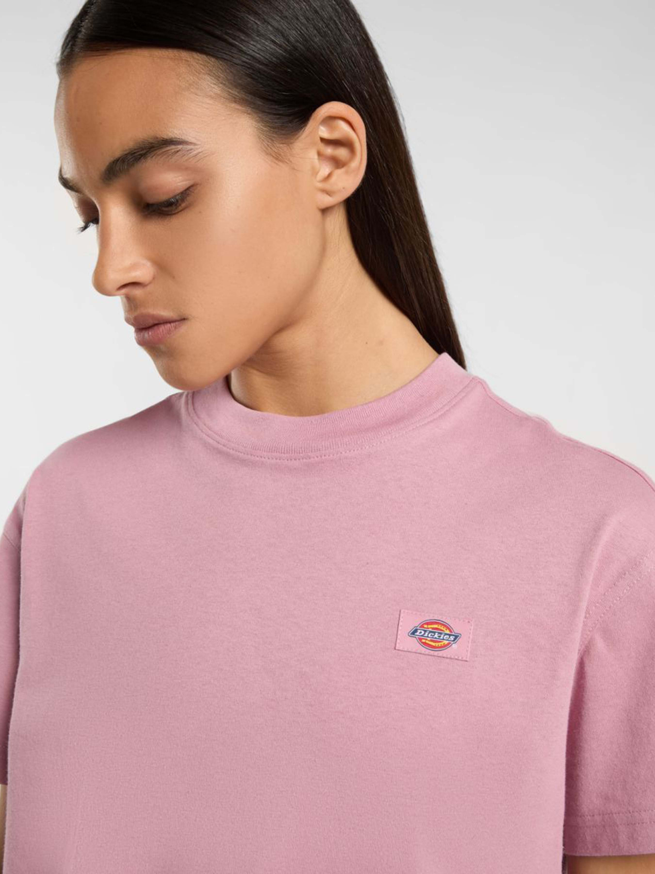 Футболка Dickies Oakport Boxy модель DK0A4Y8LK391 Фото