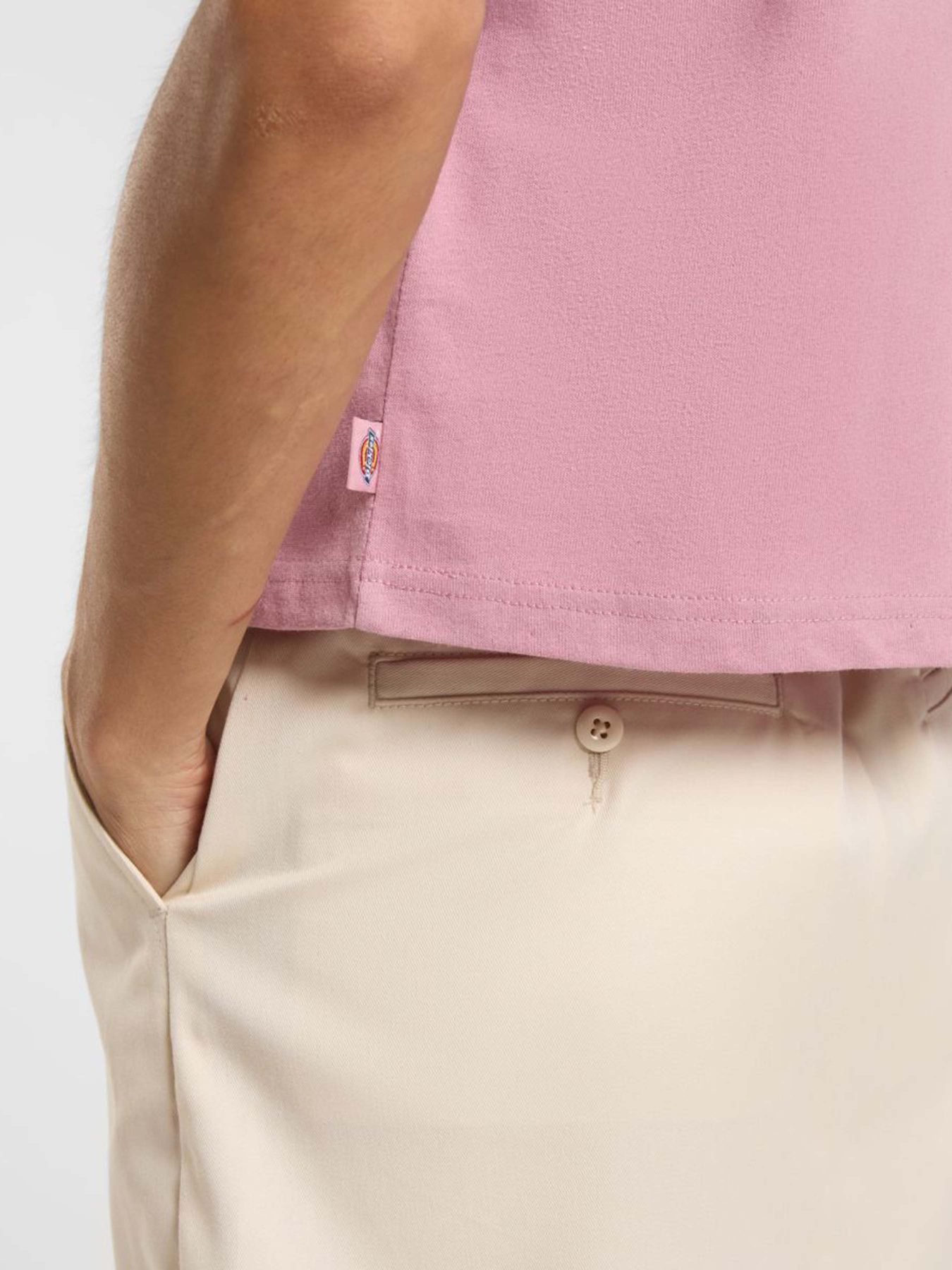 Футболка Dickies Oakport Boxy модель DK0A4Y8LK391 Фото