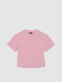 Футболка Dickies Oakport Boxy модель DK0A4Y8LK391 Фото