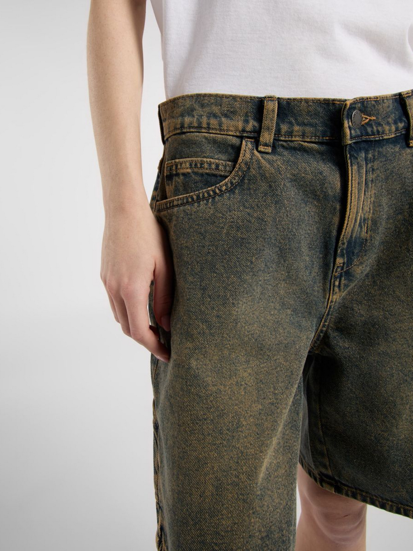 Шорты Dickies Herndon модель DK0A4YSGK581 Фото