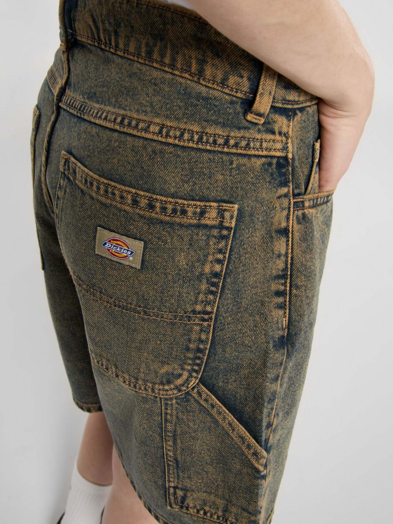 Шорты Dickies Herndon модель DK0A4YSGK581 Фото