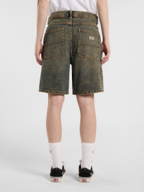 Повсякденні шорти Dickies Herndon модель DK0A4YSGK581 Фото