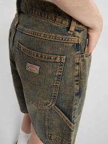 Повсякденні шорти Dickies Herndon модель DK0A4YSGK581 Фото