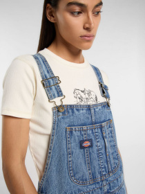 Сарафан Dickies Bib Long Overall модель DK0A4Z6TK211 Фото