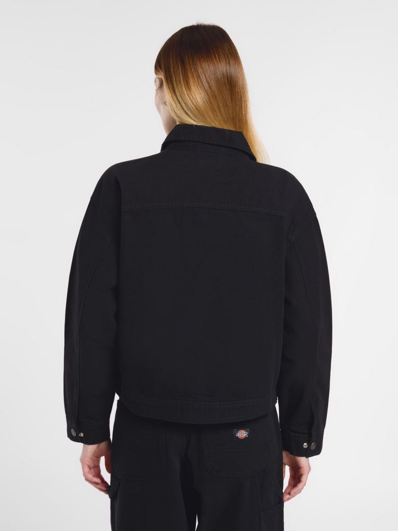 Демісезонна куртка Dickies New Canvas модель DK0A4Z77C401 Фото