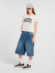 Джинсовые шорты Dickies Carpenter модель DK0A4Z85K211 Фото