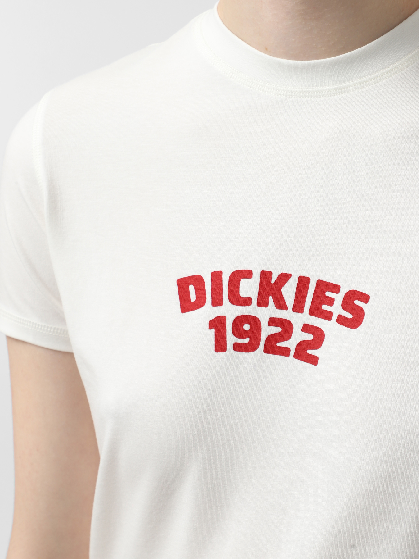 Футболка Dickies Center Logo модель DK0A4Z8FC481 Футболка Dickies Center Logo модель DK0A4Z8FC481 Фото