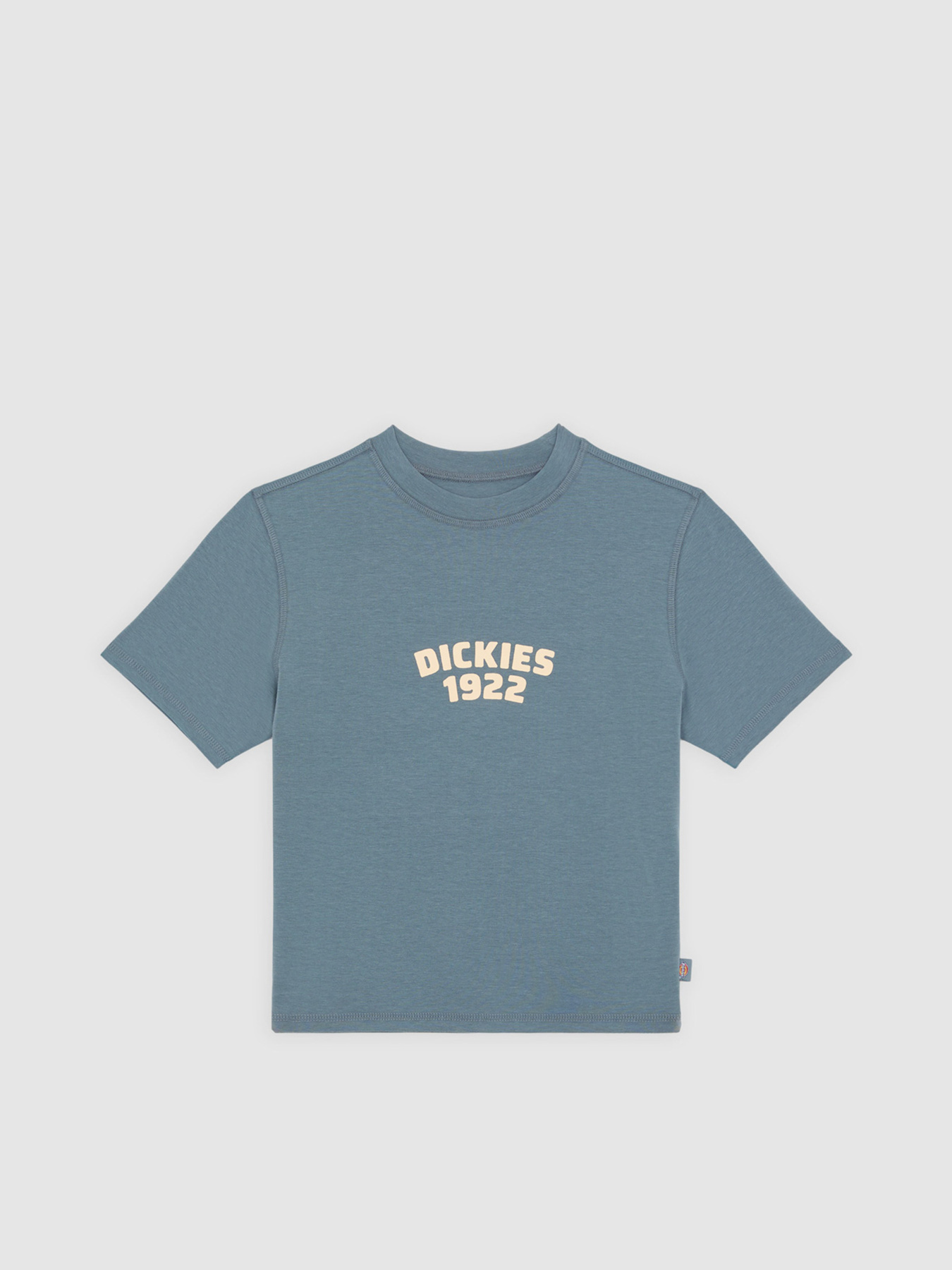 Футболка Dickies Center Logo модель DK0A4Z8FG701 Фото