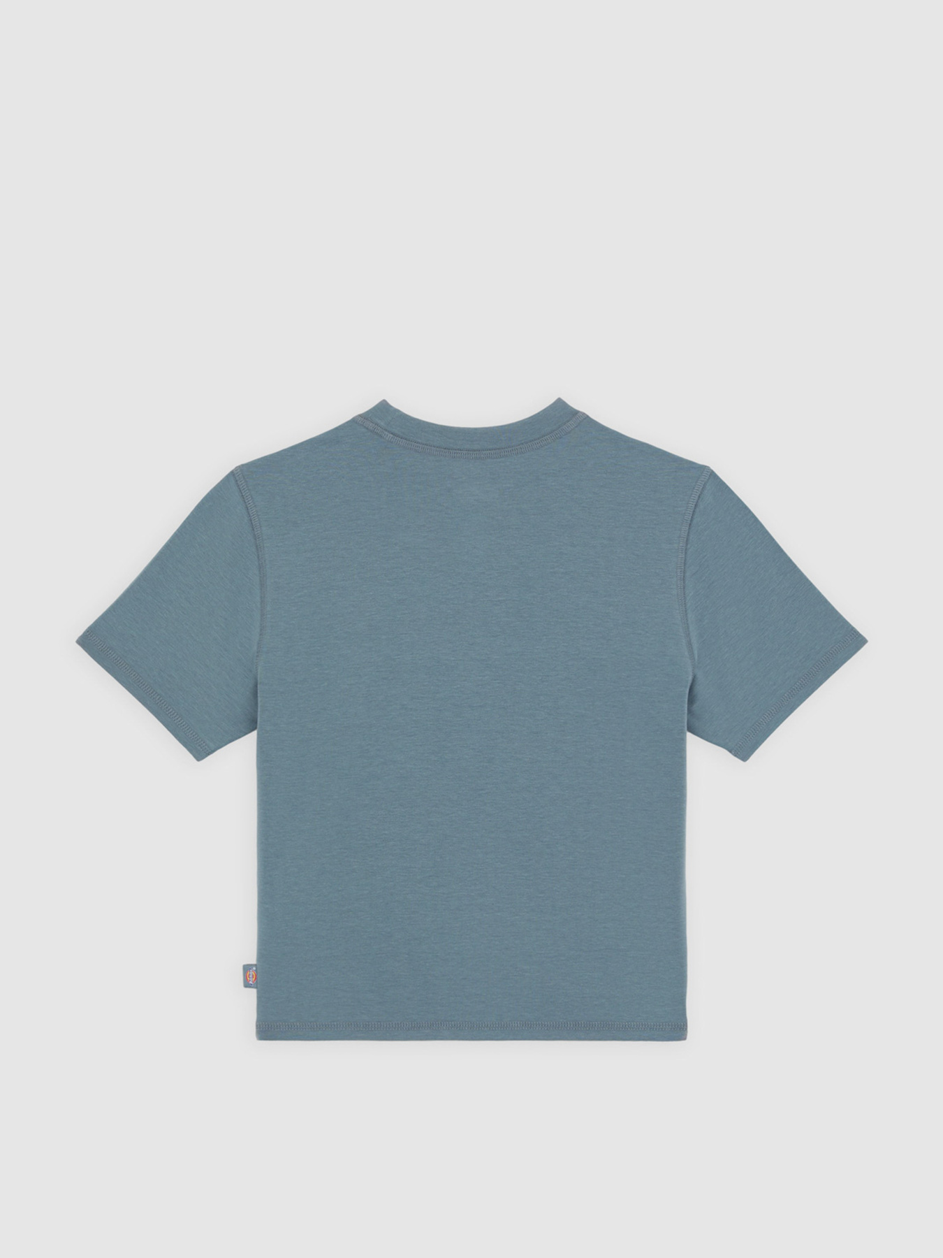 Футболка Dickies Center Logo модель DK0A4Z8FG701 Фото