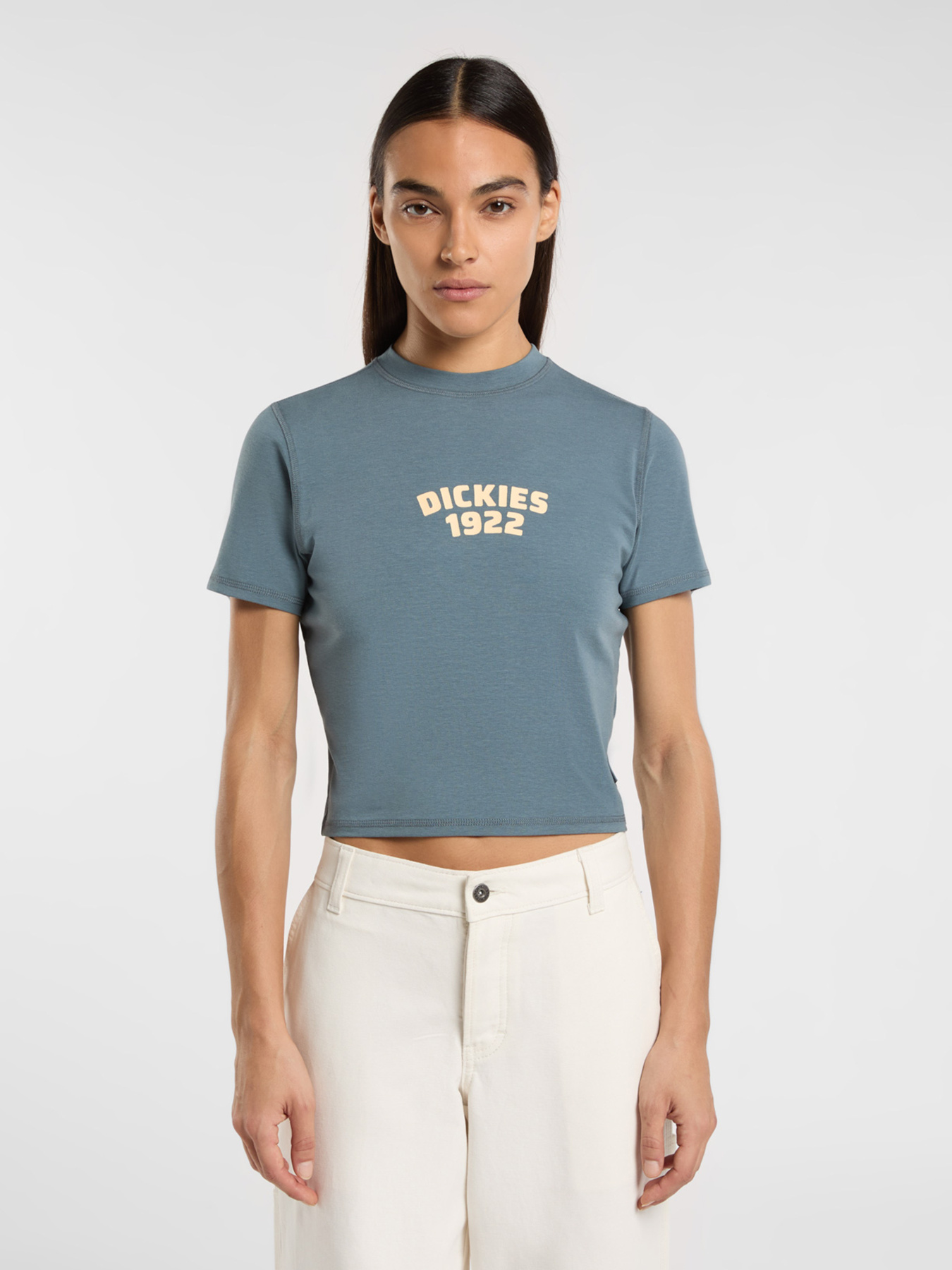 Футболка Dickies Center Logo модель DK0A4Z8FG701 Фото