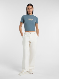 Футболка Dickies Center Logo модель DK0A4Z8FG701 Фото