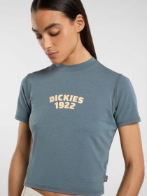 Футболка Dickies Center Logo модель DK0A4Z8FG701 Фото