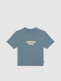 Футболка Dickies Center Logo модель DK0A4Z8FG701 Фото