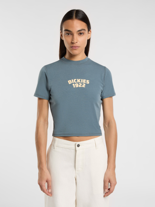 Футболка Dickies Center Logo модель DK0A4Z8FG701 Фото