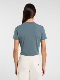 Футболка Dickies Center Logo модель DK0A4Z8FG701 Футболка Dickies Center Logo модель DK0A4Z8FG701 Фото