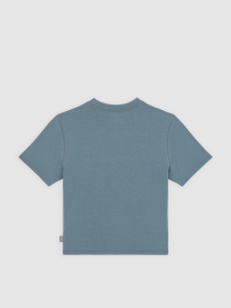 Футболка Dickies Center Logo модель DK0A4Z8FG701 Футболка Dickies Center Logo модель DK0A4Z8FG701 Фото