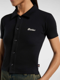 Поло Dickies Tallasse Bt модель DK0A4Z8HBLK1 Фото