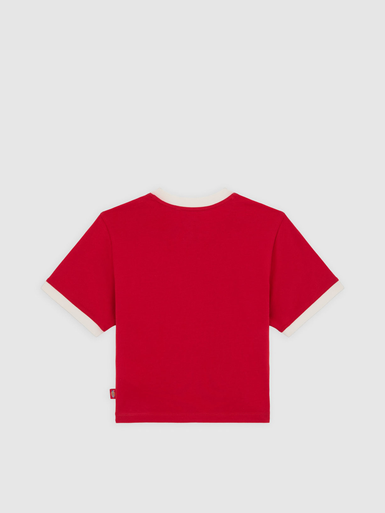 Футболка Dickies Lewistown Ringer модель DK0A4Z8I0ER1 Фото