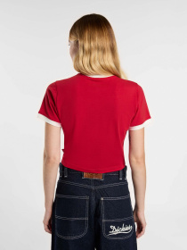 Футболка Dickies Lewistown Ringer модель DK0A4Z8I0ER1 Фото