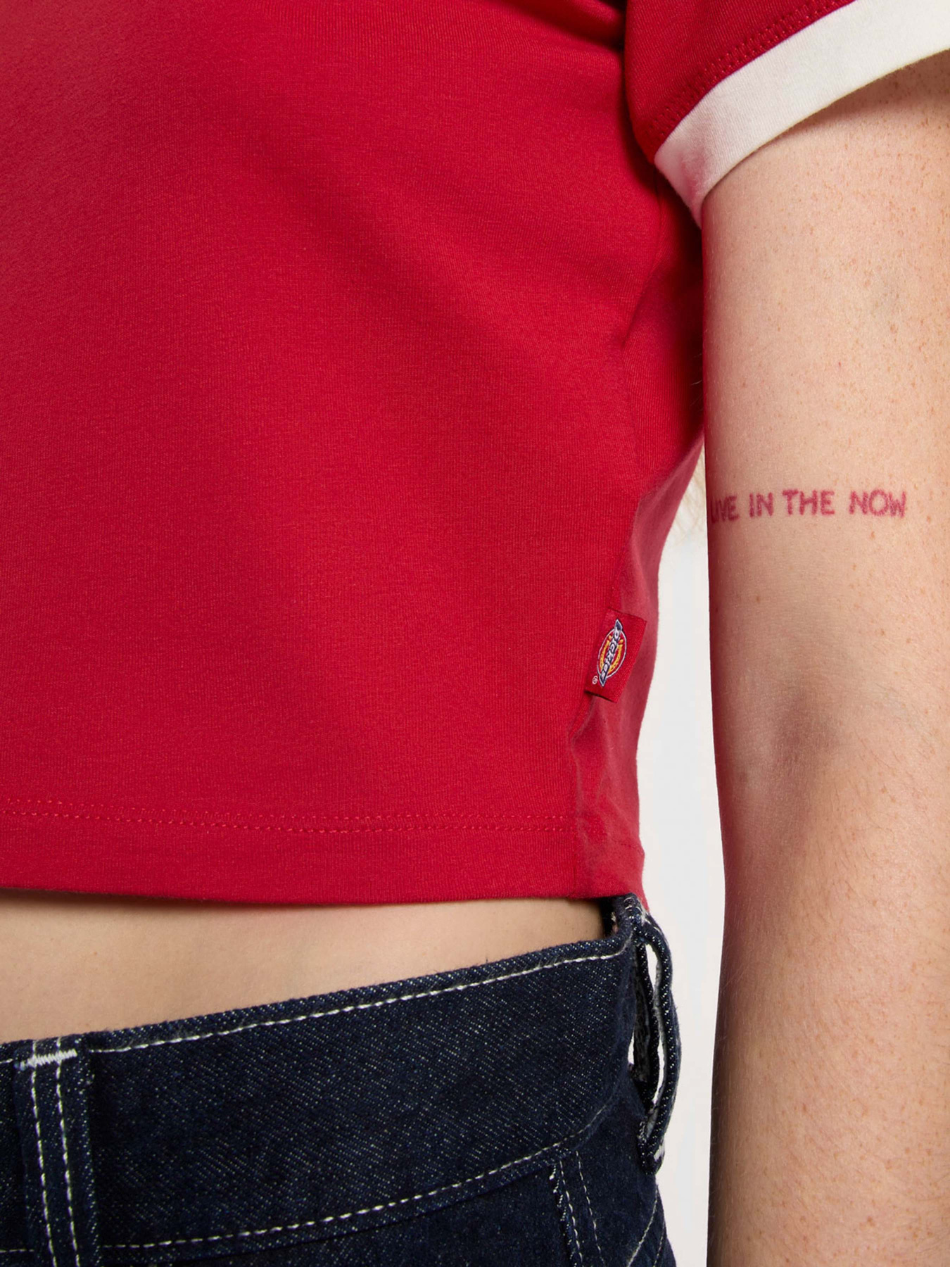 Футболка Dickies Lewistown Ringer модель DK0A4Z8I0ER1 Фото