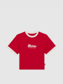 Футболка Dickies Lewistown Ringer модель DK0A4Z8I0ER1 Фото