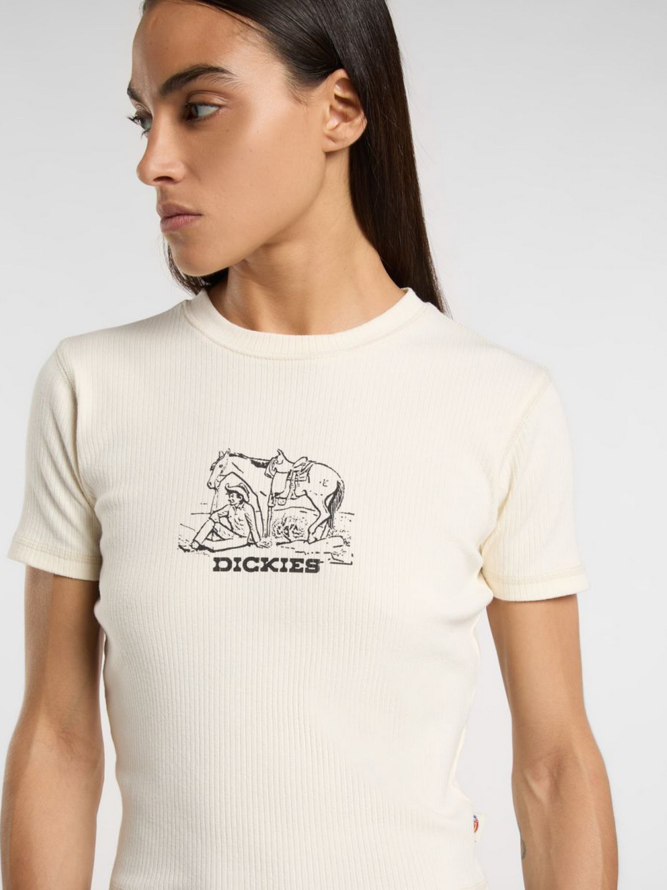 Футболка Dickies Ekru модель DK0A4Z8KF901 Фото