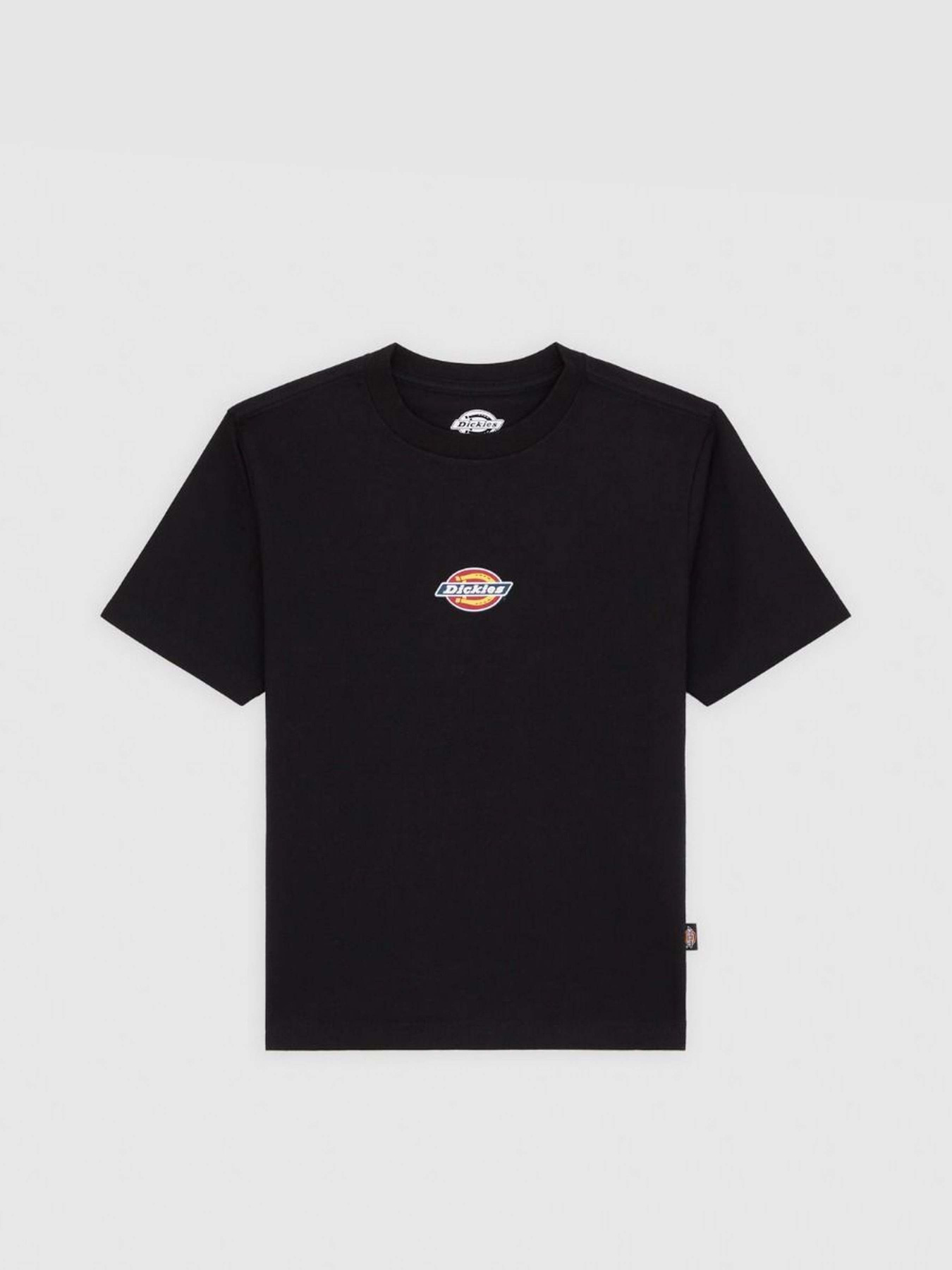 Футболка Dickies Maple Valley модель DK0A4ZAOBLK1 Фото