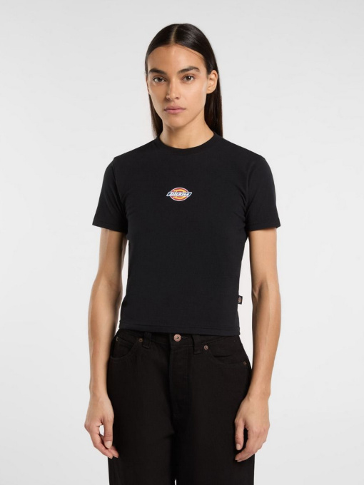 Футболки і поло Dickies Maple Valley модель DK0A4ZAOBLK1 Фото