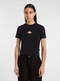 Футболки і поло Dickies Maple Valley модель DK0A4ZAOBLK1 Фото