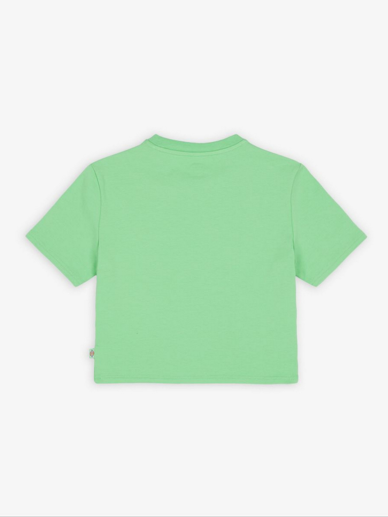 Футболка Dickies Maple Valley Tea модель DK0A4XPOE911 Фото