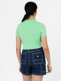 Футболка Dickies Maple Valley Tea модель DK0A4XPOE911 Фото