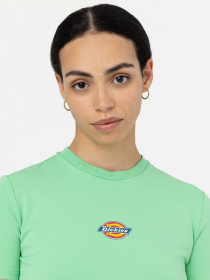 Футболка Dickies Maple Valley Tea модель DK0A4XPOE911 Фото