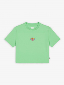 Футболка Dickies Maple Valley Tea модель DK0A4XPOE911 Фото