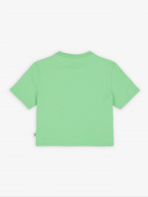 Футболка Dickies Maple Valley Tea модель DK0A4XPOE911 Фото