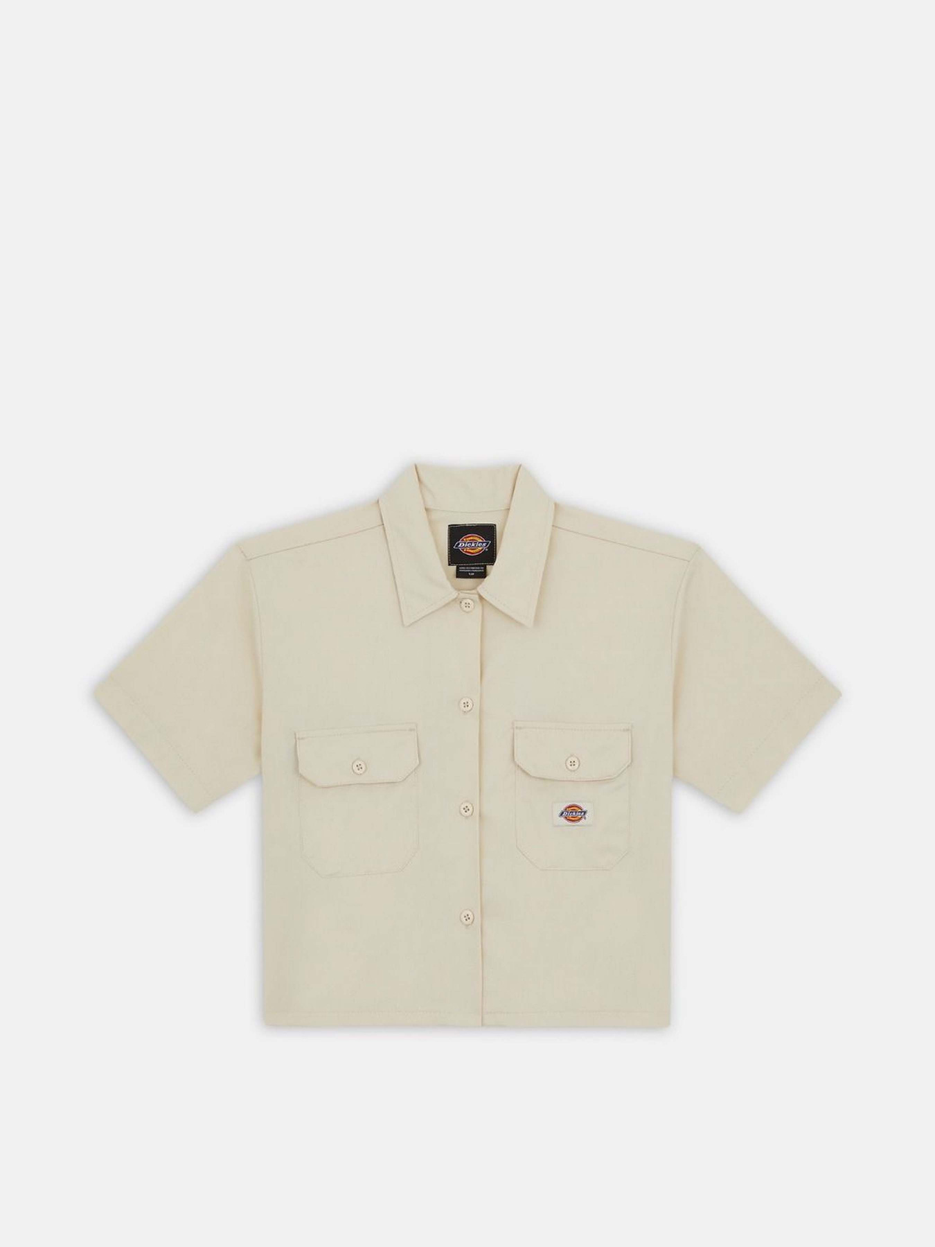 Рубашка повседневная Dickies Chain Lake модель DKDFS573F901 Фото