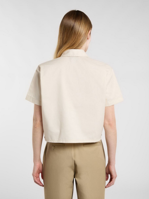 Сорочка повсякденна Dickies Chain Lake модель DKDFS573F901 Фото