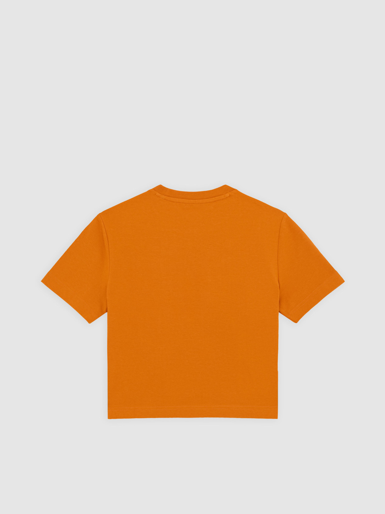 Топ Dickies Maple Valley модель DK0A4XPOK641 Фото