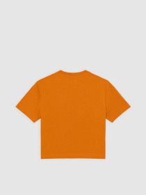 Топ Dickies Maple Valley модель DK0A4XPOK641 Фото