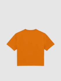 Топ Dickies Maple Valley модель DK0A4XPOK641 Топ Dickies Maple Valley модель DK0A4XPOK641 Фото