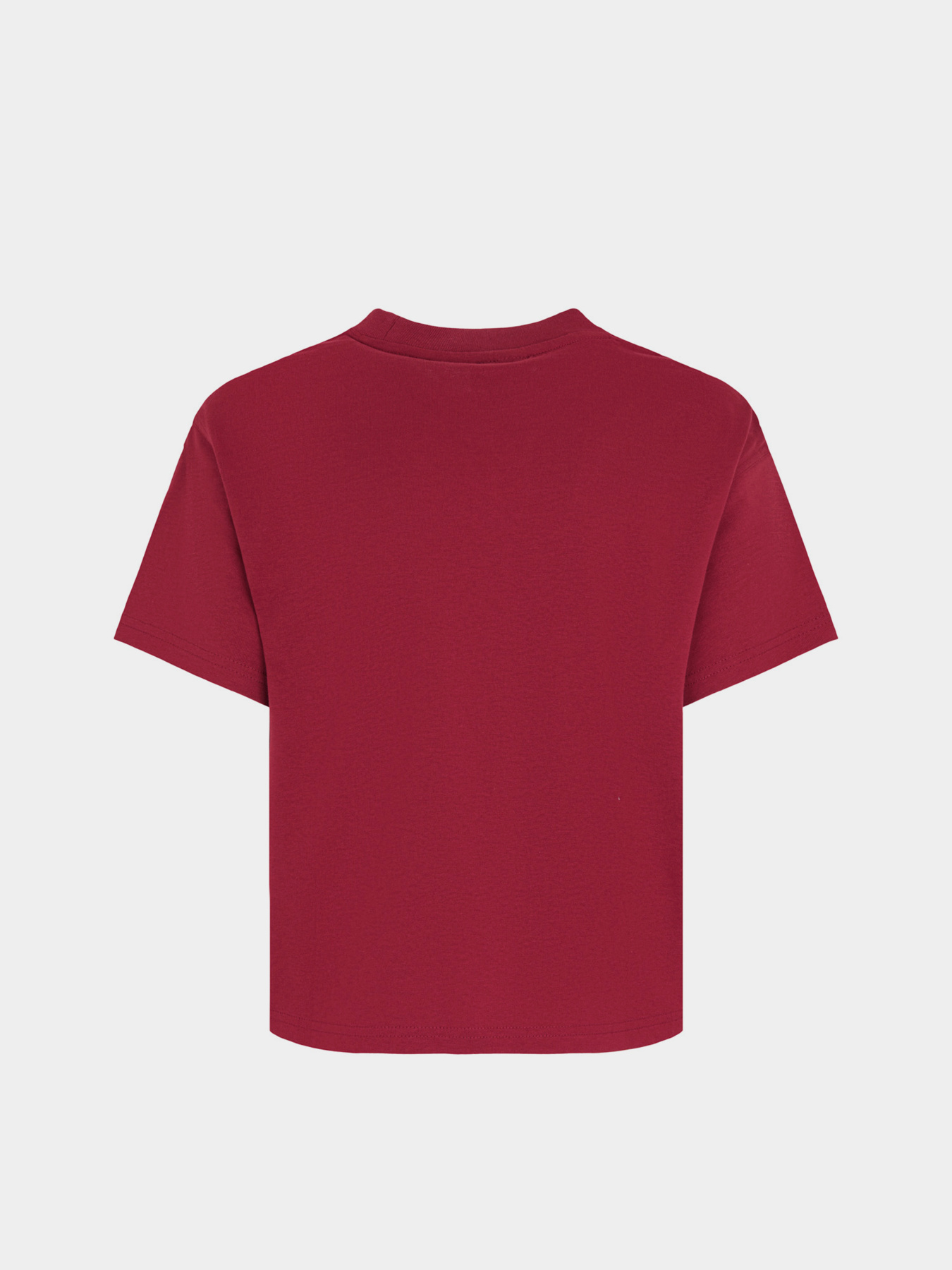 Футболка Dickies Oakport модель DK0A4Y8LK741 Фото