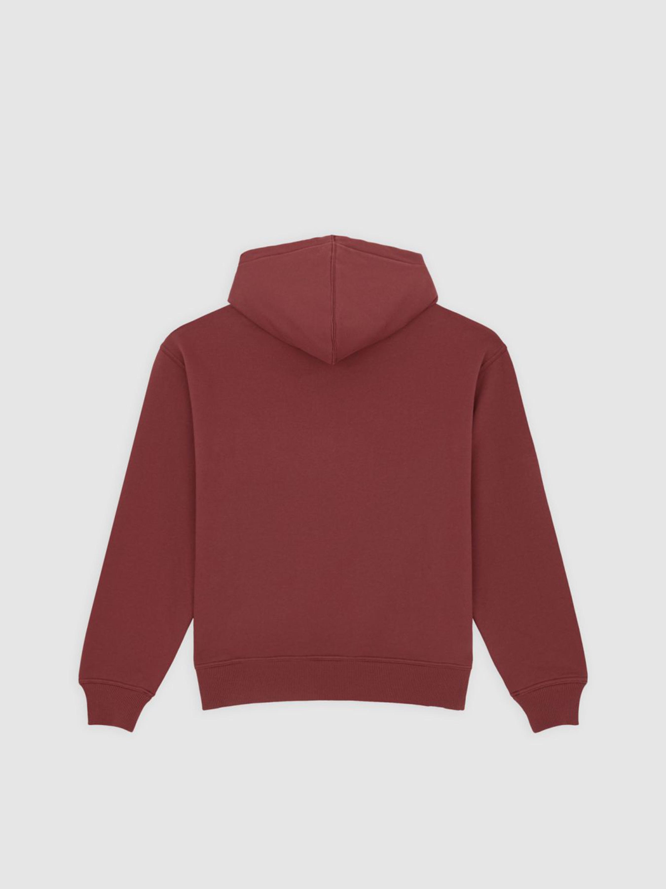 Худи Dickies Clancy модель DK0A4Z2WL161 Фото