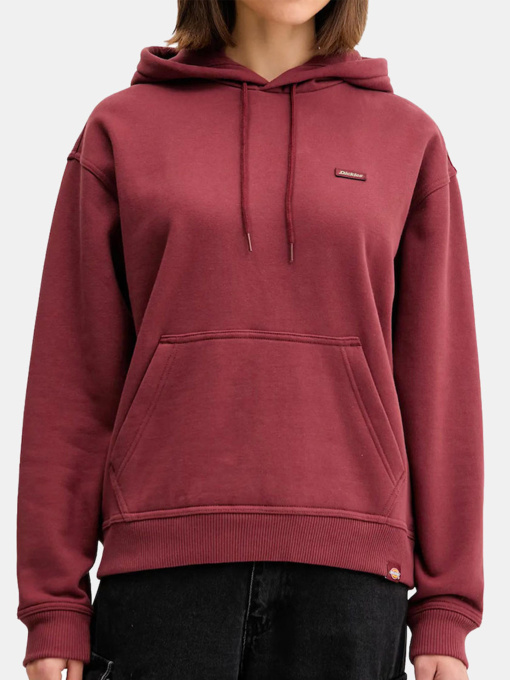 Худі Dickies Clancy модель DK0A4Z2WL161 Фото