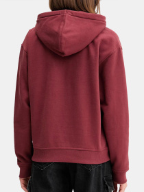 Худи Dickies Clancy модель DK0A4Z2WL161 Фото