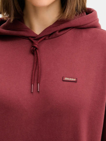 Худи Dickies Clancy модель DK0A4Z2WL161 Фото