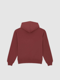 Худи Dickies Clancy модель DK0A4Z2WL161 Фото