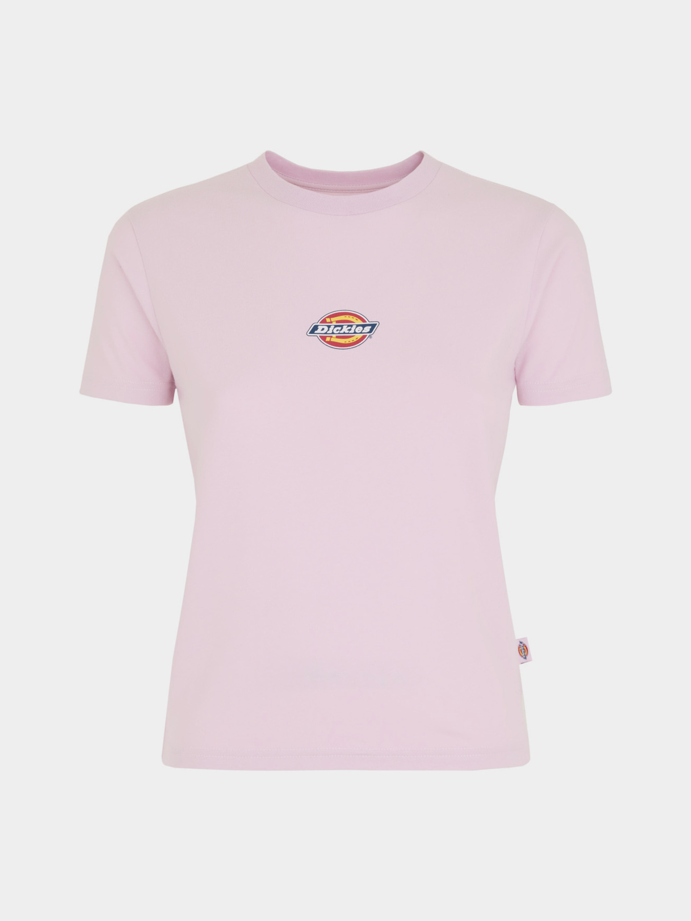 Футболка Dickies Maple Valley Reg модель DK0A4ZAOK731 Футболка Dickies Maple Valley Reg модель DK0A4ZAOK731 Фото