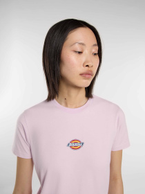 Футболка Dickies Maple Valley Reg модель DK0A4ZAOK731 Футболка Dickies Maple Valley Reg модель DK0A4ZAOK731 Фото